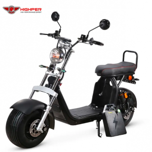 Ukuhamba 1500w Fat Wheel Off Road Electric Scooter Adult Citycoco
