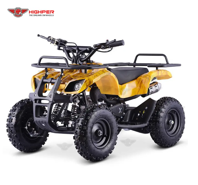 2-stroke Mini Gas Powered 49cc Mini Quad Motorcycle (2)