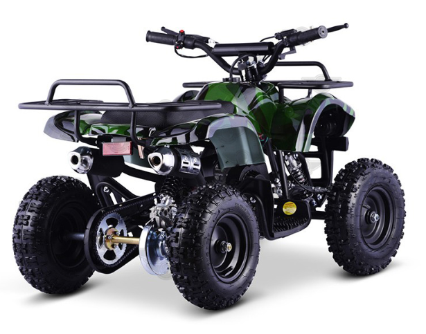 Chain-driven transmission & rear disk brake system