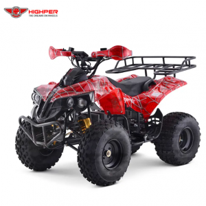 Drive Quad Bike ATV