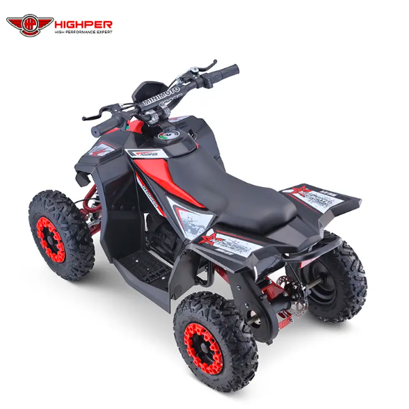 Electric ATV 1