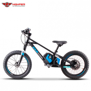 Electric Balance Bike Hub Motor