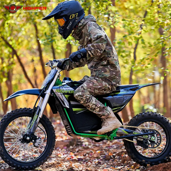 Electric Dirt Bike 1