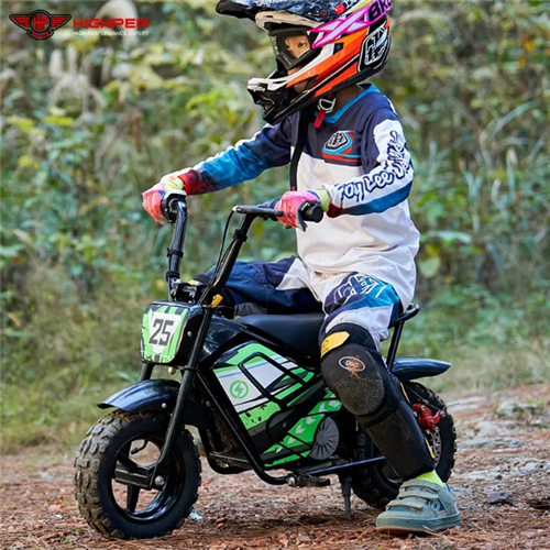 Electric Kids Mini Bike