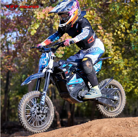 Electric Motorcycle