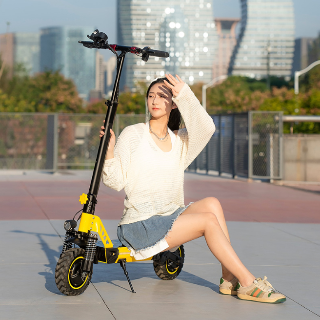 Folding Electric Scooter (3)