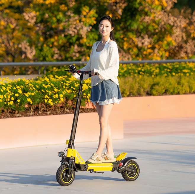 Folding Electric Scooter