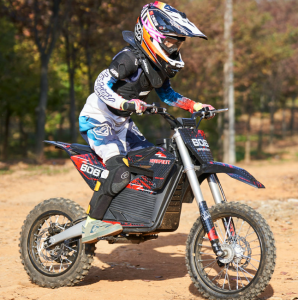 Electric Pit Bike 2000w 60v