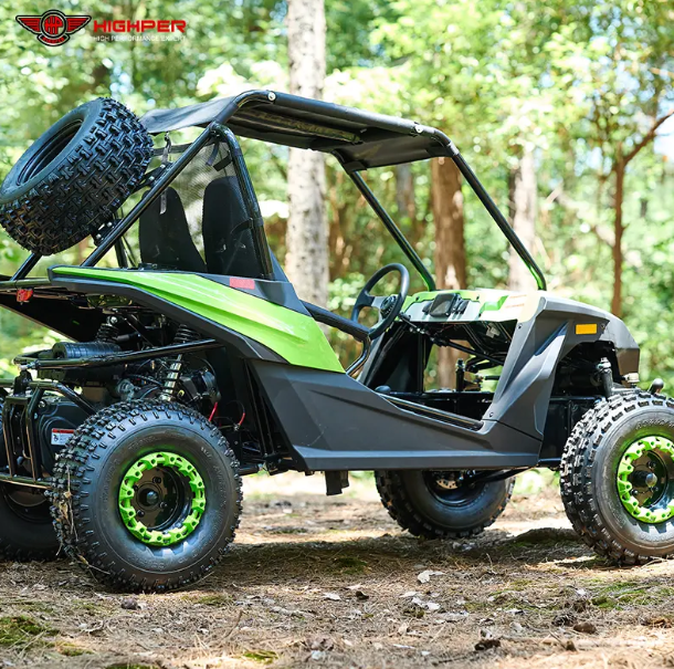 200cc Go-kart with CAE Frame Rally Suspension for Adults