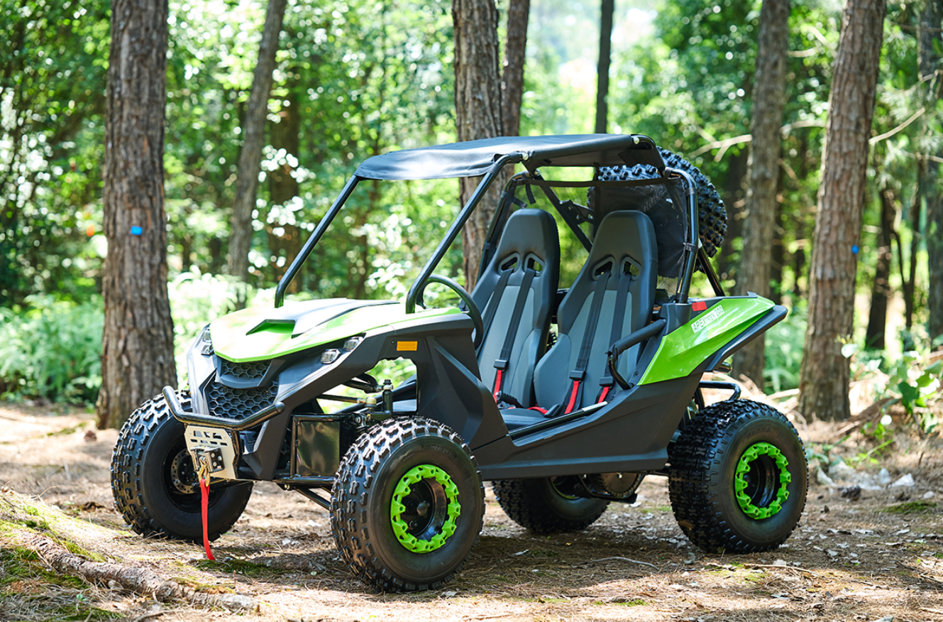 200cc Go-kart with CAE Frame Rally Suspension for Adults