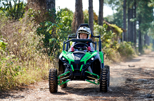 Go Kart UTV 1200w with 4 Gears for Kids