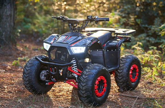 Mini Electric Quad Bike for Children