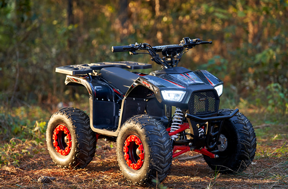 Electric ATV with Differential Motor