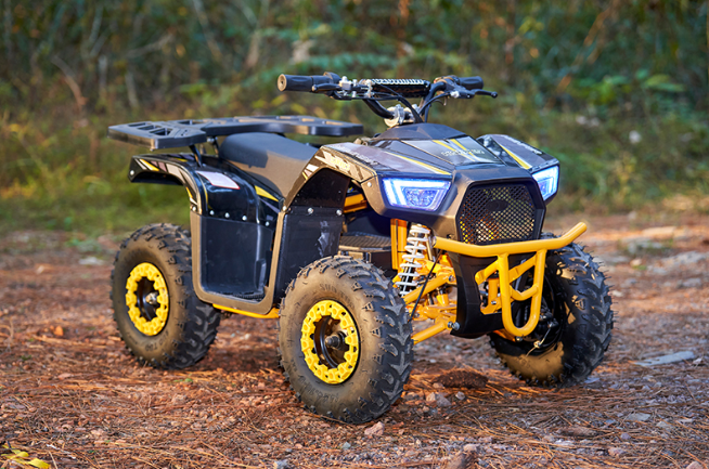  Chain Drive Electric Kids ATV Supplier