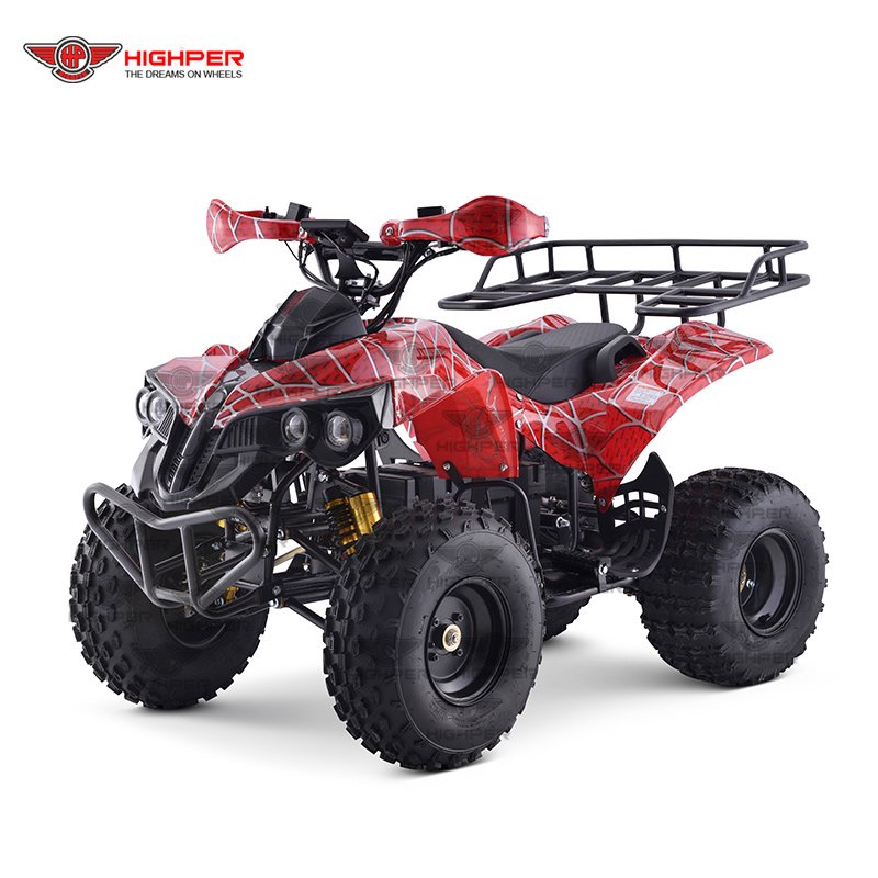 China 1000 1200w 60v20ah Adult Electric Shaft Drive Quad